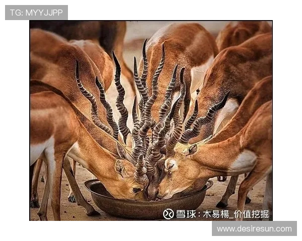 深入解读尊龙Z6集团在行业中的竞争优势